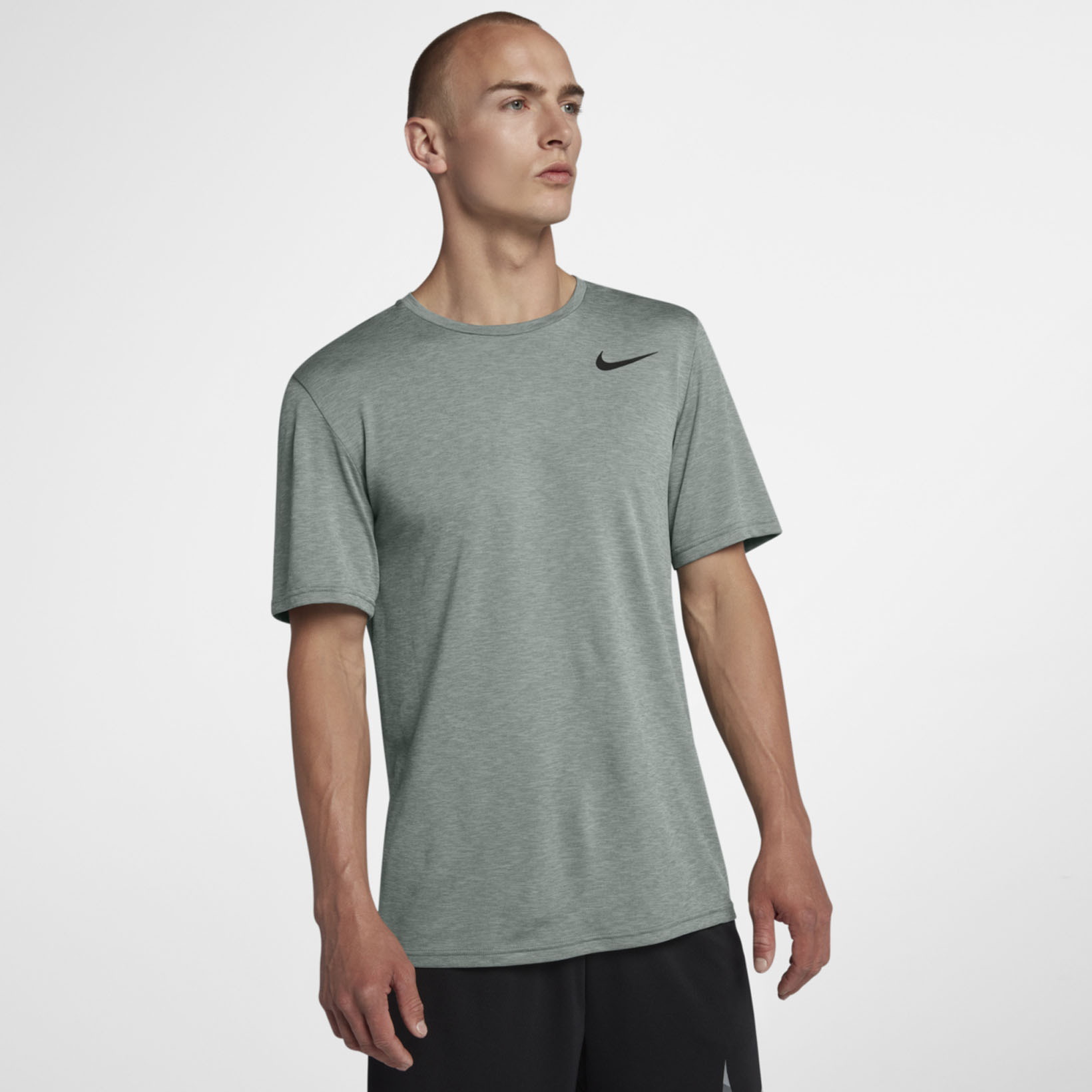 Мужская футболка Nike Breathe Dry SS 832835-365