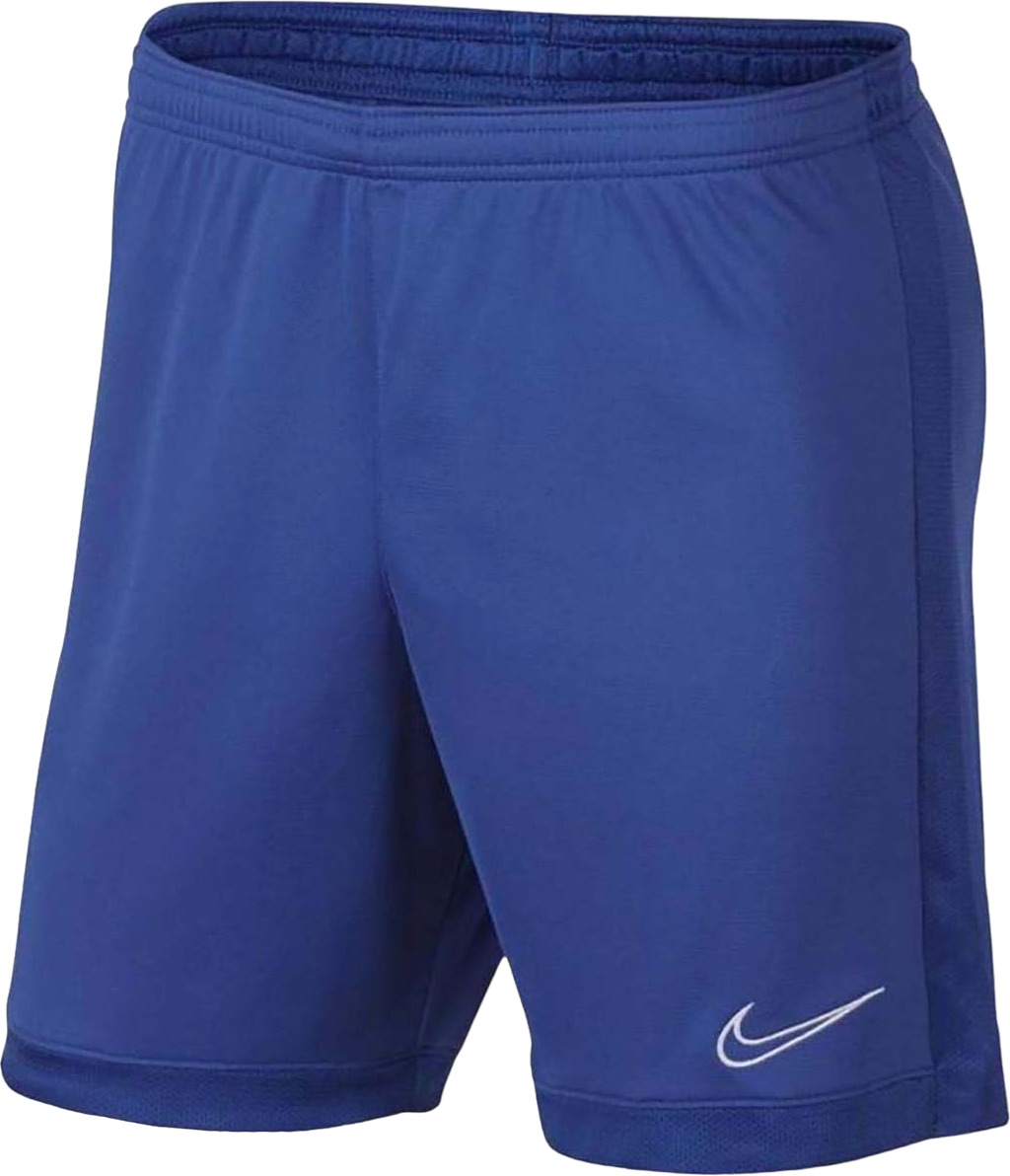 Мужские шорты Nike Dri-FIT Academy AJ9994-480